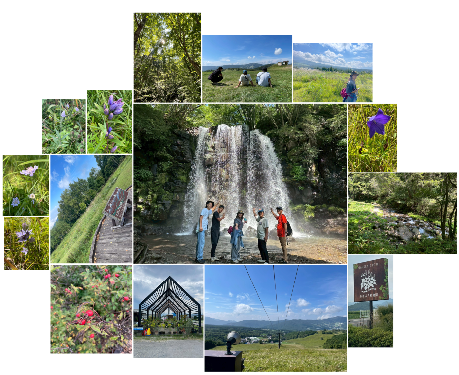 スクリーンショット 2025-09-14 104408