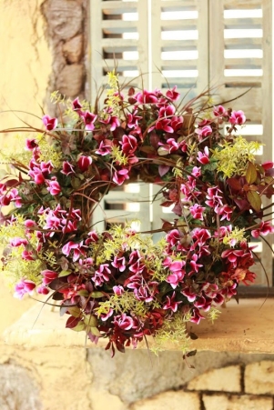 IMG_3217 IMG_3217